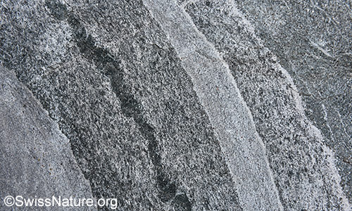 Bändergneis (Ausschnitt aus einem Felsblock)