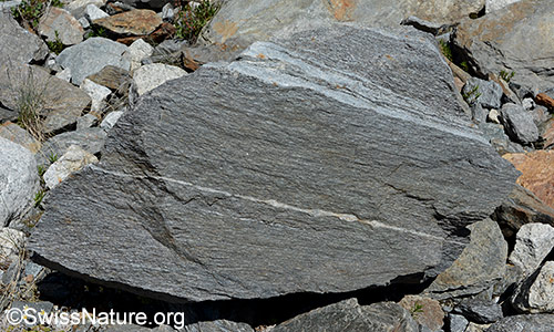 Boudinage in einem Felsblock aus Gneis.