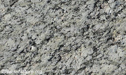 Vom Gletscher geschliffene Felspartie aus Granit (Zentraler Aaregranit).