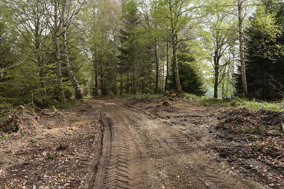 Mit viel Kies ausgebesserter Waldweg. Länge=300m. Breite=ca. 2.5m. Verdichtete Fläche=750 Quadratmeter.