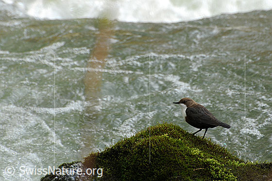 Photo: 