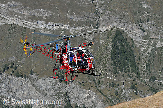 Foto: Helikopter im Anflug (Gebirgseinsatz).