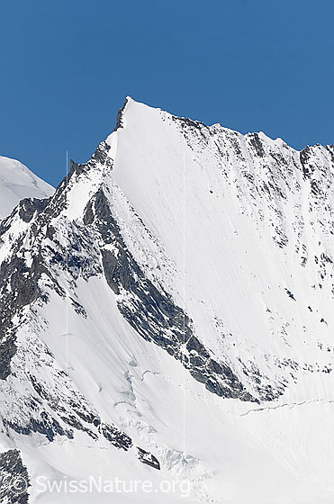 Foto: Lenzspitze.
Gipfelportrait des Walliser Viertausenders.
