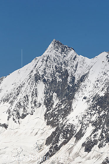 Foto: Täschhorn von E.