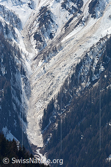 Foto: Lawinenzug