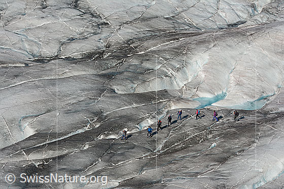 Foto: Alpinisten unterwegs auf dem Grossen Alteschgletscher.