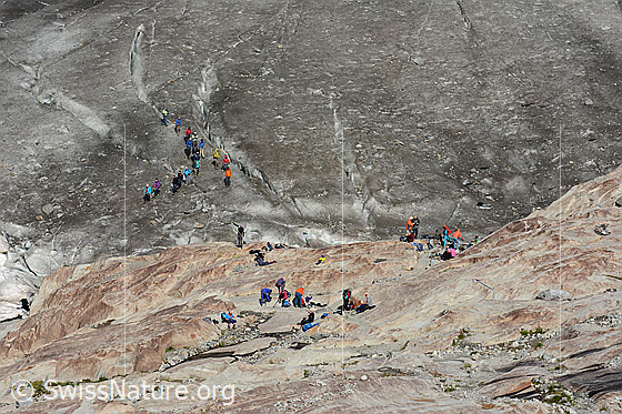 Foto: Alpinisten am Rand des Grossen Aletschgletschers.