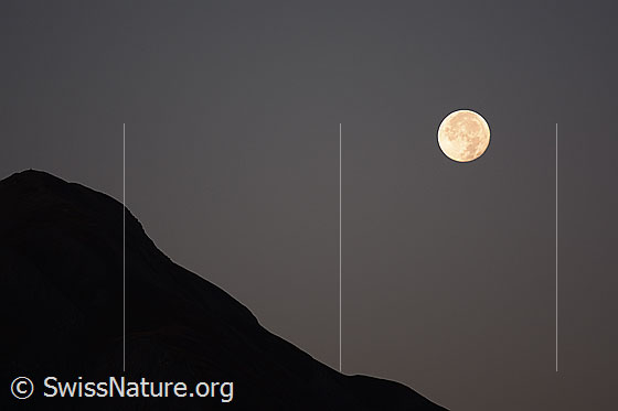 Foto: Vollmond und Binntaler Breithorn.