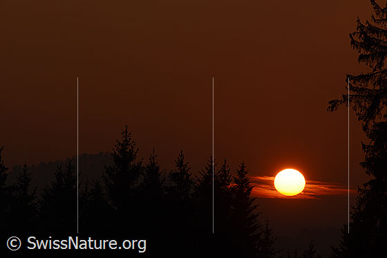 Foto: Sonnenuntergang.