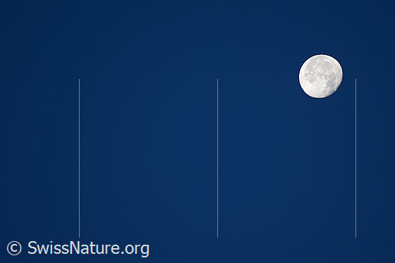 Foto: Vollmond am Nachthimmel.
