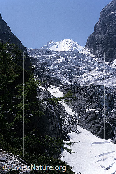 Foto: Gletscherabbruch des Glacier de Saleina. Aufnahme ab Dia.