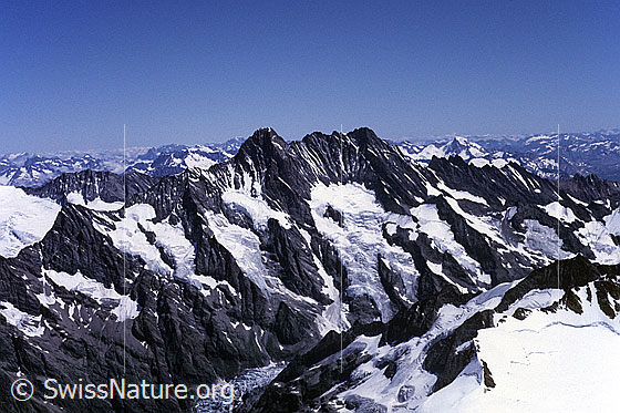 Foto: Aussicht vom Mönch auf Klein Schreckhorn, Bärglistock, Schreckhorn, Lauteraarhorn, Schreckfirn und Obers Ischmeer. Aufnahme ab Dia.