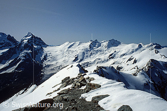 Foto: Engadiner Berglandschaft mit Piz Roseg, Piz Sella, Dschimels, La Sella, Piz Glüschaint, Il Chapütschin, Sellagletscher und Roseggletscher.