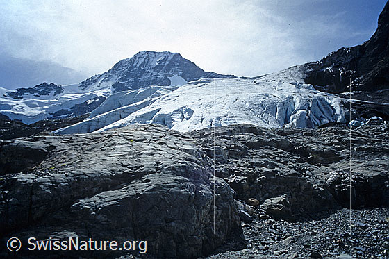 Foto: Obere Breithorngletscher, Breithorn und Breithorngletscher im Gegenlicht. Im Vordergrund die Gletscherzunge und vom Gletscher abgeschliffene Felsen. Aufnahme ab Dia.