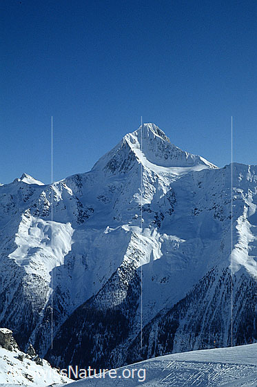 Foto: Bietschhorn von Norden. Licht und Schatten fallen auf die verschneite Nordwand.