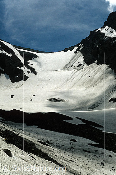 Foto: Blick über den Schwarzgletscher zum Zackengrat. Aufnahme ab Dia.