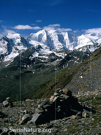 Foto: Piz Cambrena und Piz Palü von NNE (Aufstieg Forcla Pischa / Piz Albris)
Aufnahme ab Dia.