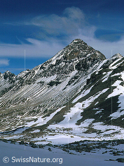 Foto: Piz Languard von SSE (Aufstieg Piz Albris)
Aufnahme ab Dia.
