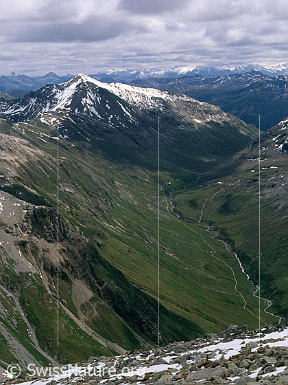 Foto: Blick vom Piz Albris in das Val da Fain.
Aufnahme ab Dia.