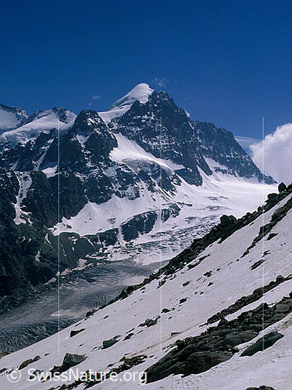 Foto: Piz Roseg und Piz Scerscen von NW.
Aufnahme ab Dia.