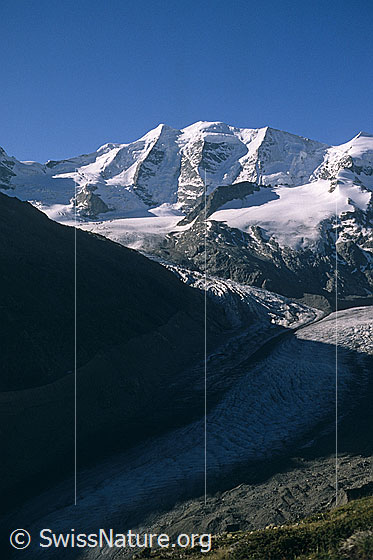Foto: Piz Palü von NNW (Aufstieg Piz Mandra)
Davor: Fortezza, Vadret da la Fortezza, Morteratschgletscher (Vadret da Morterascht)
Aufnahme ab Dia.