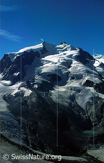 Foto: Monte Rosagruppe von NW (Gornergrat)
Nordend, Dufourspitze, Parrotspitze.
Monte Rosagletscher und Gornergletscher (unten).
Aufnahme ab Dia.