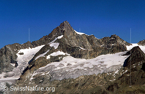 Foto: Zinalrothorn von SE (Gornergrat).
Triftgletscher und Rothorngletscher.
Aufnahme ab Dia.
