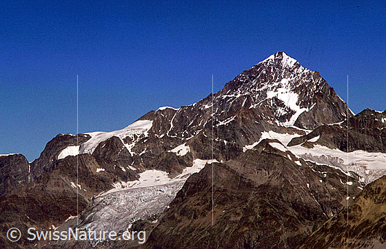 Foto: Dent Blanche von E (Gornergrat)
Schönbielgletscher.
Aufnahme ab Dia.