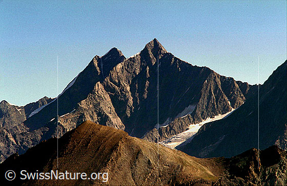 Foto: Dom und Täschhorn von SSW (Gornergrat)
Im Vordergrund der Gipfel des Oberrothorn.
Aufnahme ab Dia..