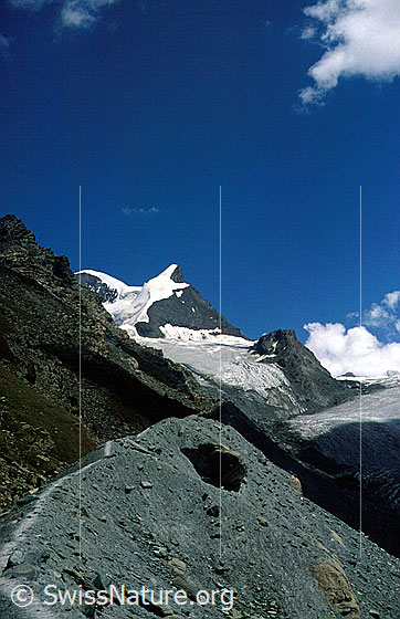Foto: Strahlhorn und Adlerpass von W (Nähe Flue).
Adlergletscher.