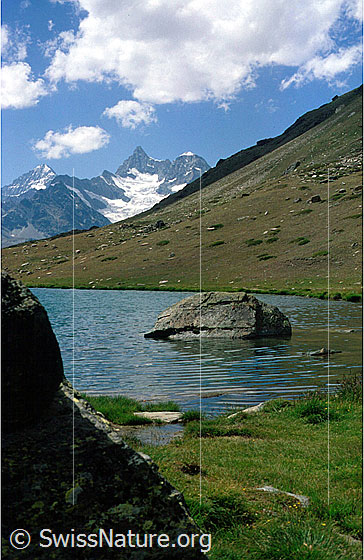 Foto: Dent Blanche, Ober Gabelhorn und Wellenkuppe von E (Stellisee).
Aufnahme ab Dia.