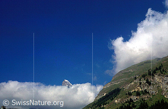 Foto: Gipfel des Matterhorns aus Wolkenschicht ragend von NE (Zermatt).
Aufnahme ab Dia.
