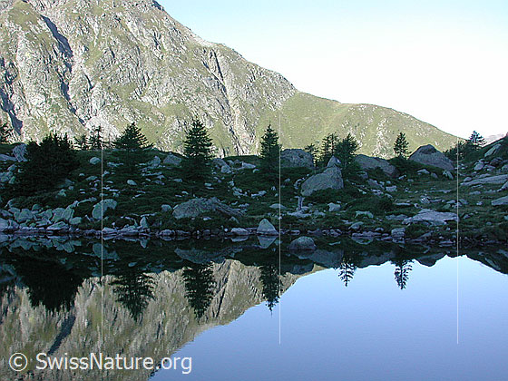 Foto: Spiegelung im Mässersee.
