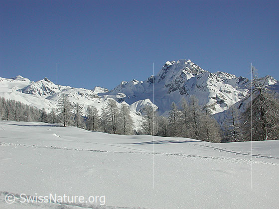 Foto: Im Aufstieg zum Gandhorn. Blick vom Eggerebode auf das Ofenhorn.