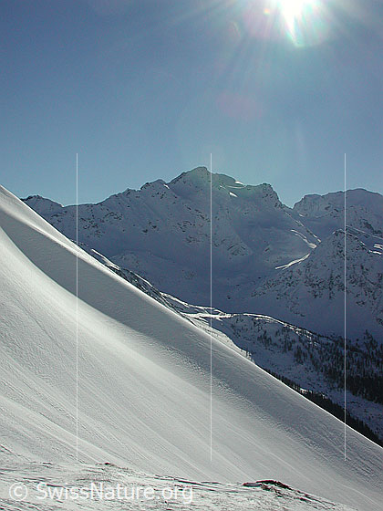 Foto: Im Aufstieg zum Gandhorn. Blick Richtung Schwarzhorn.
