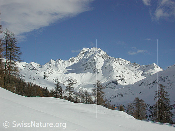 Foto: Blick von Eggerebode auf das winterliche Ofenhorn.