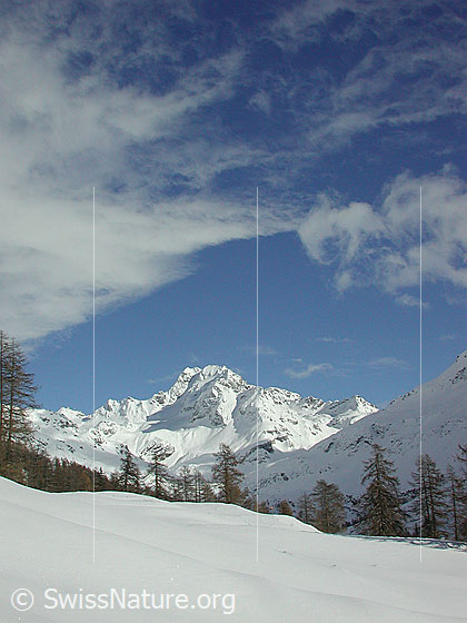 Foto: Blick von Eggerebode auf das winterliche Ofenhorn.