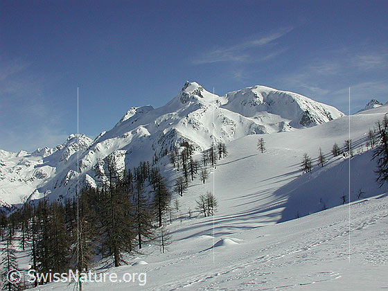 Foto: Blick Richtung Unters Schinhorn