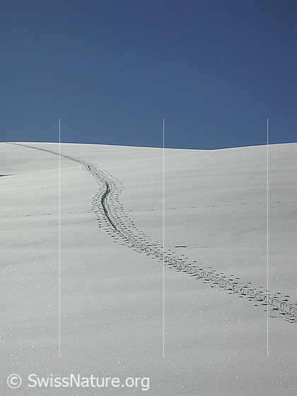 Foto: Aufstiegsspur