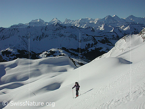 Foto: Skitour auf das Türstenhäuptli. Im Aufstieg. Im Hintergrund die Berner Alpen
