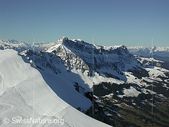 Foto: Skitour auf das Türstenhäuptli. Blick vom Türstenhäuptli auf das Hohgant-Massiv.