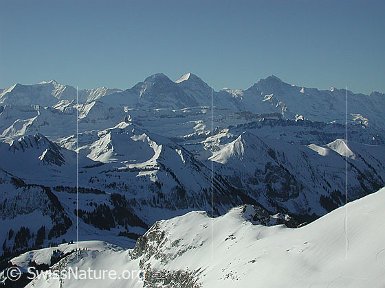 Foto: Skitour auf das Türstenhäuptli. Blick auf Eiger, Mönch und Jungfrau.
