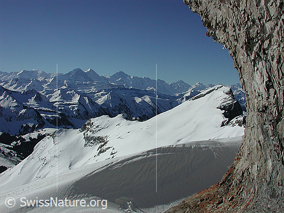 Foto: Skitour auf das Türstenhäuptli. Blick vom Türstenhäuptli auf die Berner Alpen mit Eiger, Mönch und Jungfrau. Im Vordergrund: Schibengütsch