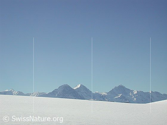 Foto: Skitour auf das Türstenhäuptli. Blick auf Eiger, Mönch und Jungfrau.