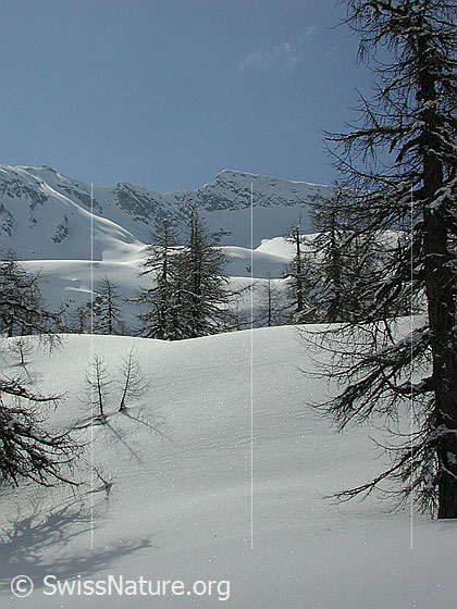 Foto: Blick zum Stockhorn