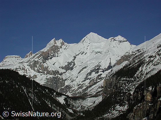 Foto: Blüemlisalphorn und Oeschinenhorn von Kandersteg. Daziwischen der Obere Oeschinengletscher.