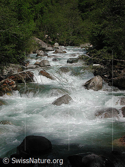 Foto: Binna oberhalb Imfeld