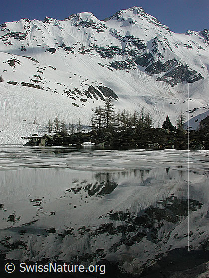 Foto: Spiegelung im Mässersee. Schwarzhorn (Hintergrund & Spiegelung)