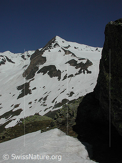Foto: Turbhorn von S (Mittlenbärg)