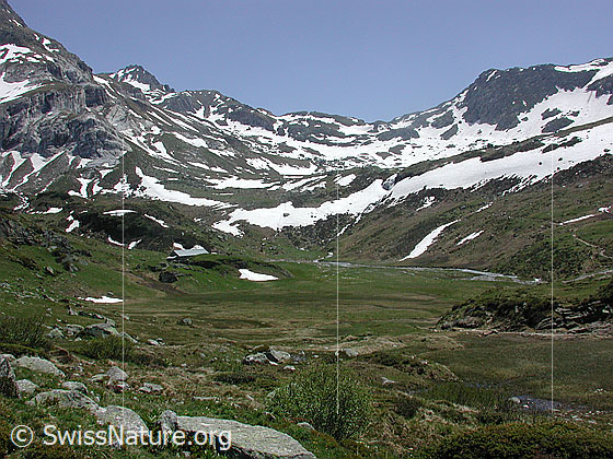Foto: Ebene Blatt, Oxefeld und Albrunpass von NW (Hüttenweg Mittlebärghütte)